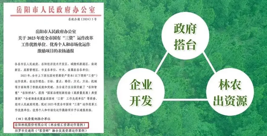 岳陽林紙2023年實(shí)現(xiàn)營收86.41億元 碳匯業(yè)務(wù)崛起成為新增長極