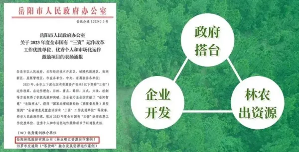 岳陽林紙2023年實(shí)現(xiàn)營收86.41億元 碳匯業(yè)務(wù)崛起成為新增長極